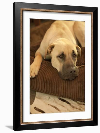 Resting-Karyn Millet-Framed Photographic Print