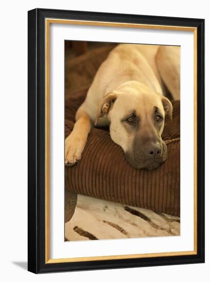 Resting-Karyn Millet-Framed Photographic Print