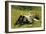 Resting-Charles Payne-Framed Giclee Print