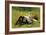 Resting-Charles Payne-Framed Giclee Print