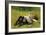 Resting-Charles Payne-Framed Giclee Print