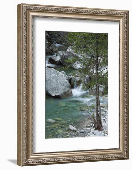 Restonica River, Gorges De La Restonica, Corte, Corsica, France-Walter Bibikow-Framed Photographic Print