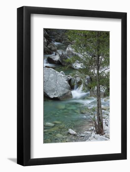 Restonica River, Gorges De La Restonica, Corte, Corsica, France-Walter Bibikow-Framed Photographic Print