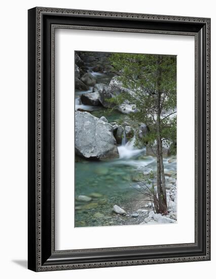 Restonica River, Gorges De La Restonica, Corte, Corsica, France-Walter Bibikow-Framed Photographic Print