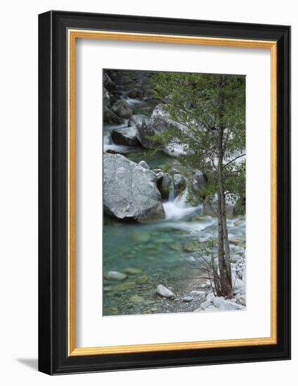 Restonica River, Gorges De La Restonica, Corte, Corsica, France-Walter Bibikow-Framed Photographic Print