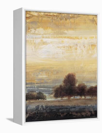 Restoration II-Simon Addyman-Framed Stretched Canvas