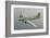 Restored B17F Flying Fortress-null-Framed Art Print