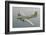 Restored B17F Flying Fortress-null-Framed Art Print