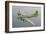 Restored B17F Flying Fortress-null-Framed Art Print