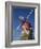 Restored Mill, Madalena, Pico, Azores, Portugal, Europe-Ken Gillham-Framed Photographic Print