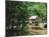 Restored Mill Near Riley in Monroe County, Southern Alabama, USA-Robert Francis-Mounted Photographic Print