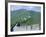 Restored Section of the Great Wall (Changcheng), Northeast of Beijing, Mutianyu, China-Tony Waltham-Framed Photographic Print