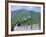 Restored Section of the Great Wall (Changcheng), Northeast of Beijing, Mutianyu, China-Tony Waltham-Framed Photographic Print