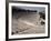 Restored Theatre, Epidaurus, Unesco World Heritage Site, Greece-Jack Jackson-Framed Photographic Print