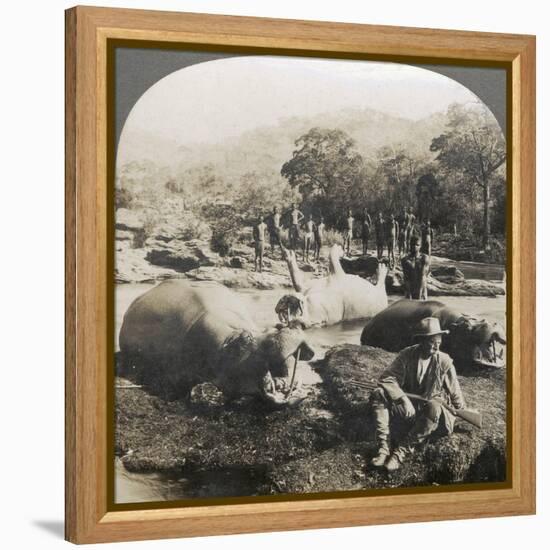Result of a Morning's Hippopotamus Hunt on Mlembo River, Rhodesia, Africa, 1910-Keystone View Company-Framed Premier Image Canvas