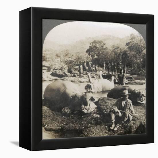 Result of a Morning's Hippopotamus Hunt on Mlembo River, Rhodesia, Africa, 1910-Keystone View Company-Framed Premier Image Canvas