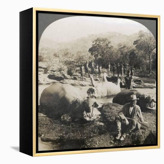 Result of a Morning's Hippopotamus Hunt on Mlembo River, Rhodesia, Africa, 1910-Keystone View Company-Framed Premier Image Canvas