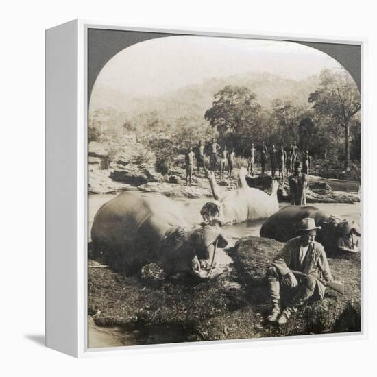 Result of a Morning's Hippopotamus Hunt on Mlembo River, Rhodesia, Africa, 1910-Keystone View Company-Framed Premier Image Canvas