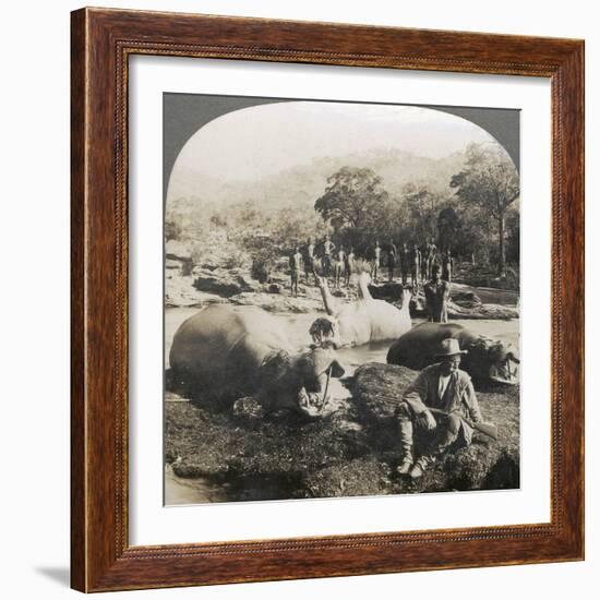 Result of a Morning's Hippopotamus Hunt on Mlembo River, Rhodesia, Africa, 1910-Keystone View Company-Framed Photographic Print