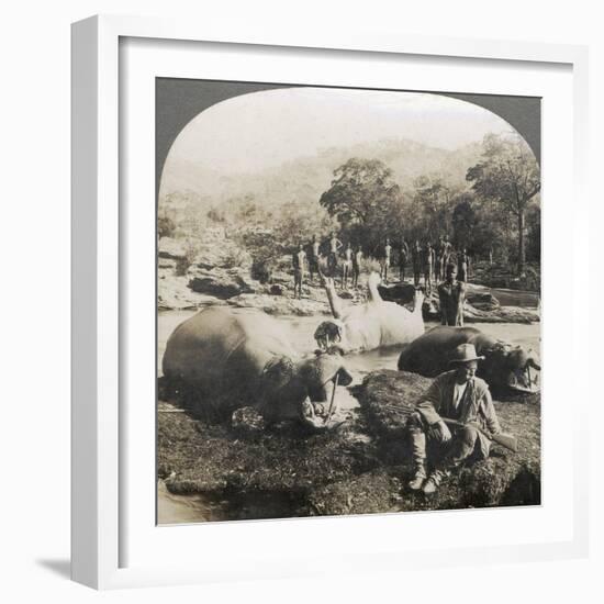 Result of a Morning's Hippopotamus Hunt on Mlembo River, Rhodesia, Africa, 1910-Keystone View Company-Framed Photographic Print