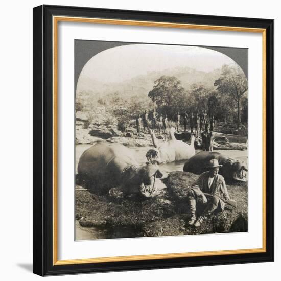 Result of a Morning's Hippopotamus Hunt on Mlembo River, Rhodesia, Africa, 1910-Keystone View Company-Framed Photographic Print