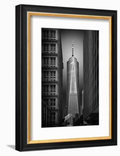 Resurrection New from Old-Daryll Williams-Framed Photographic Print