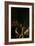 Resurrection of Lazarus-Caravaggio-Framed Giclee Print