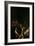 Resurrection of Lazarus-Caravaggio-Framed Giclee Print