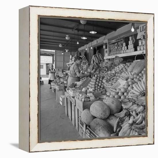 Retail Vegetable Markets Line the Decatur Street Side of the French Market-null-Framed Premier Image Canvas