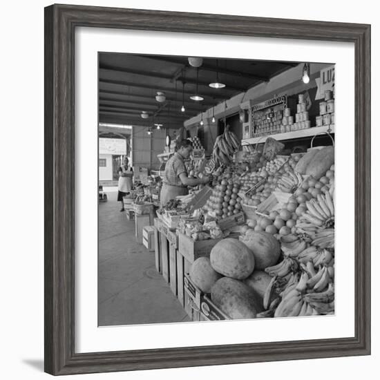 Retail Vegetable Markets Line the Decatur Street Side of the French Market--Framed Photographic Print