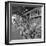 Retail Vegetable Markets Line the Decatur Street Side of the French Market-null-Framed Photographic Print