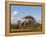 Reticulated Giraffe (Giraffa Camelopardalis Reticulata), Samburu National Park, Kenya, East Africa-Sergio Pitamitz-Framed Premier Image Canvas