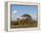 Reticulated Giraffe (Giraffa Camelopardalis Reticulata), Samburu National Park, Kenya, East Africa-Sergio Pitamitz-Framed Premier Image Canvas