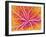 Retina Blood Vessels, SEM-Susumu Nishinaga-Framed Photographic Print