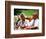 Retired African-American Couple Eating Together at Outdoor Cafe-Bill Bachmann-Framed Photographic Print