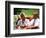 Retired African-American Couple Eating Together at Outdoor Cafe-Bill Bachmann-Framed Photographic Print