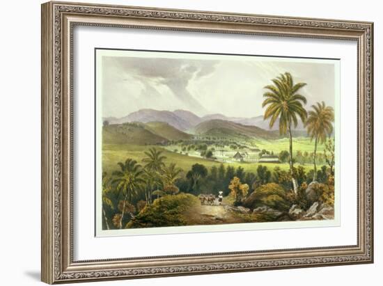 Retirement Estate, St. James's, Plate 13 from 'West Indian Scenery: Illustrations of Jamaica',…-Joseph Bartholomew Kidd-Framed Giclee Print