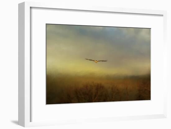 Retreating Redtail-Jai Johnson-Framed Giclee Print