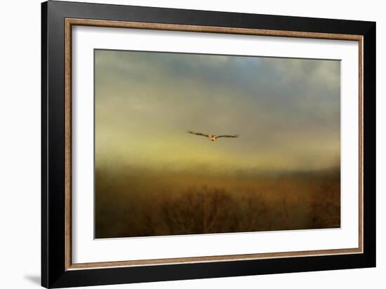 Retreating Redtail-Jai Johnson-Framed Giclee Print