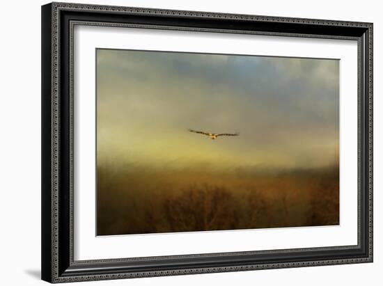 Retreating Redtail-Jai Johnson-Framed Giclee Print