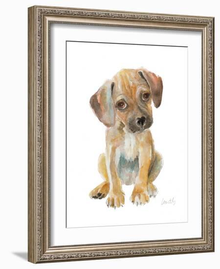 Retriever Puppy-Lanie Loreth-Framed Art Print