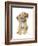 Retriever Puppy-Lanie Loreth-Framed Art Print