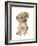 Retriever Puppy-Lanie Loreth-Framed Art Print