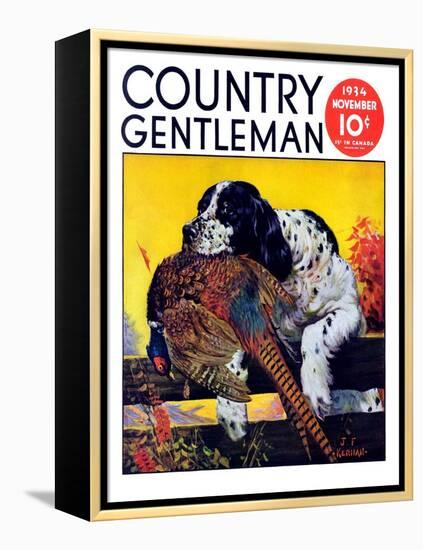 "Retriever with Pheasant," Country Gentleman Cover, November 1, 1934-J.F. Kernan-Framed Premier Image Canvas