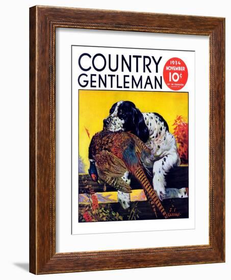 "Retriever with Pheasant," Country Gentleman Cover, November 1, 1934-J.F. Kernan-Framed Giclee Print