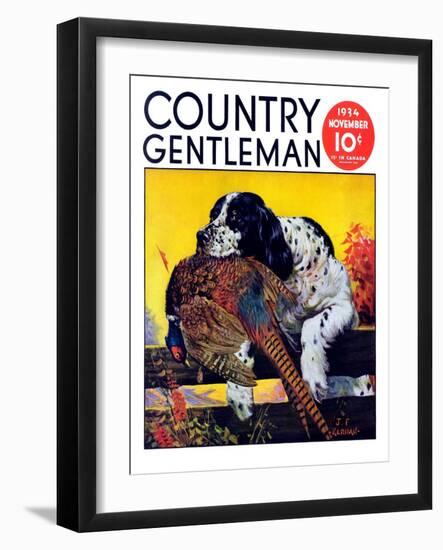 "Retriever with Pheasant," Country Gentleman Cover, November 1, 1934-J.F. Kernan-Framed Giclee Print