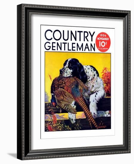 "Retriever with Pheasant," Country Gentleman Cover, November 1, 1934-J.F. Kernan-Framed Giclee Print