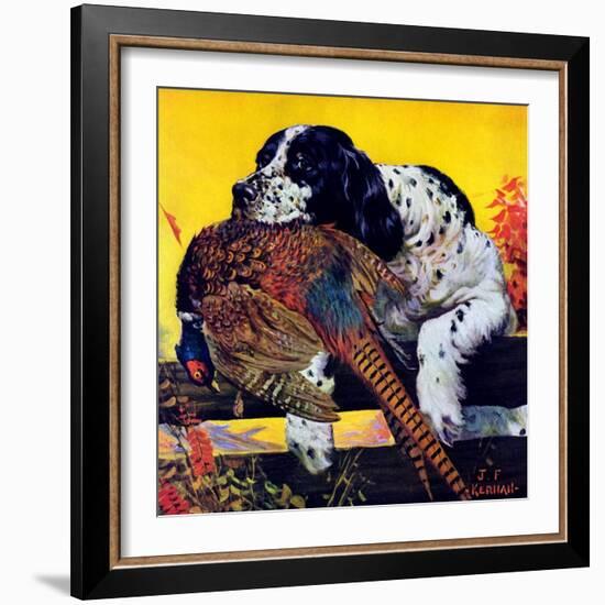 "Retriever with Pheasant,"November 1, 1934-J.F. Kernan-Framed Giclee Print