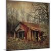 Retro Americana Farm Building-Salvatore Elia-Mounted Photographic Print