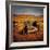 Retro Americana Farming Machinery-Salvatore Elia-Framed Photographic Print